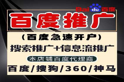 百度竞价广告的投放技巧及优化方法——以某品牌为例